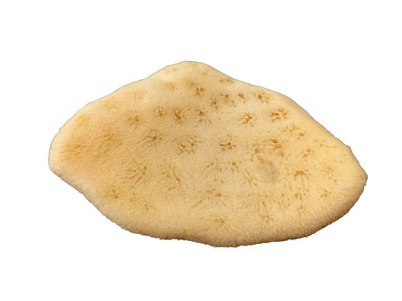 Antimension Sponge Natural Greek Orthodox Chalice Prosphora Crumbs Cleaning