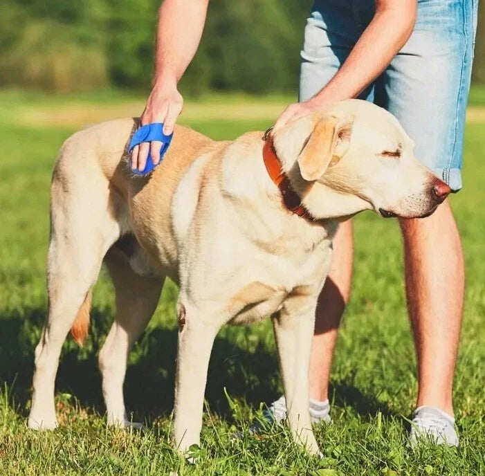 2 Pk Soft Rubber Dog Cat Bath Brush Pet Silicone Massage Comb Hair Remover BLUE