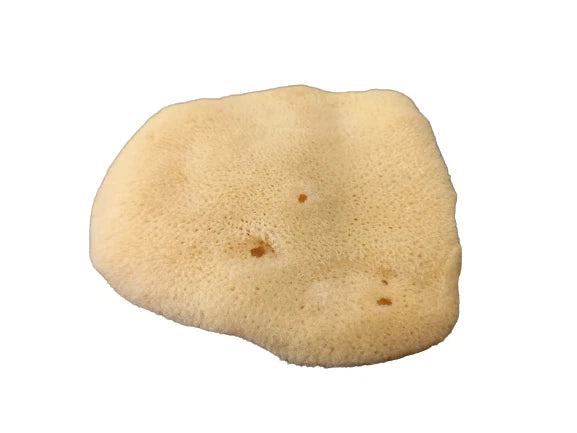 Antimension Sponge Natural Greek Orthodox Chalice Prosphora Crumbs Cleaning