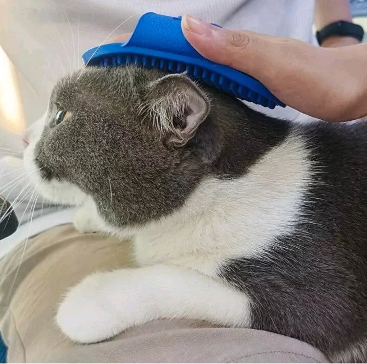 2 Pk Soft Rubber Dog Cat Bath Brush Pet Silicone Massage Comb Hair Remover BLUE