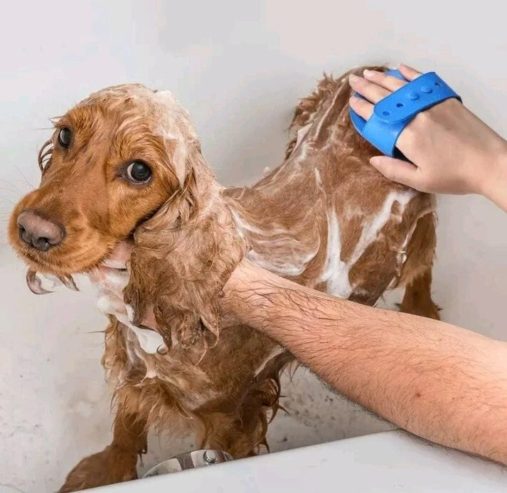 2 Pk Soft Rubber Dog Cat Bath Brush Pet Silicone Massage Comb Hair Remover BLUE