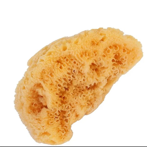 Bass Brushes Natural Sea Facial Sponge, 2" x 3"