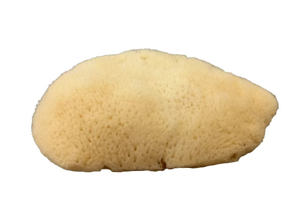 Antimension Sponge Natural Greek Orthodox Chalice Prosphora Crumbs Cleaning