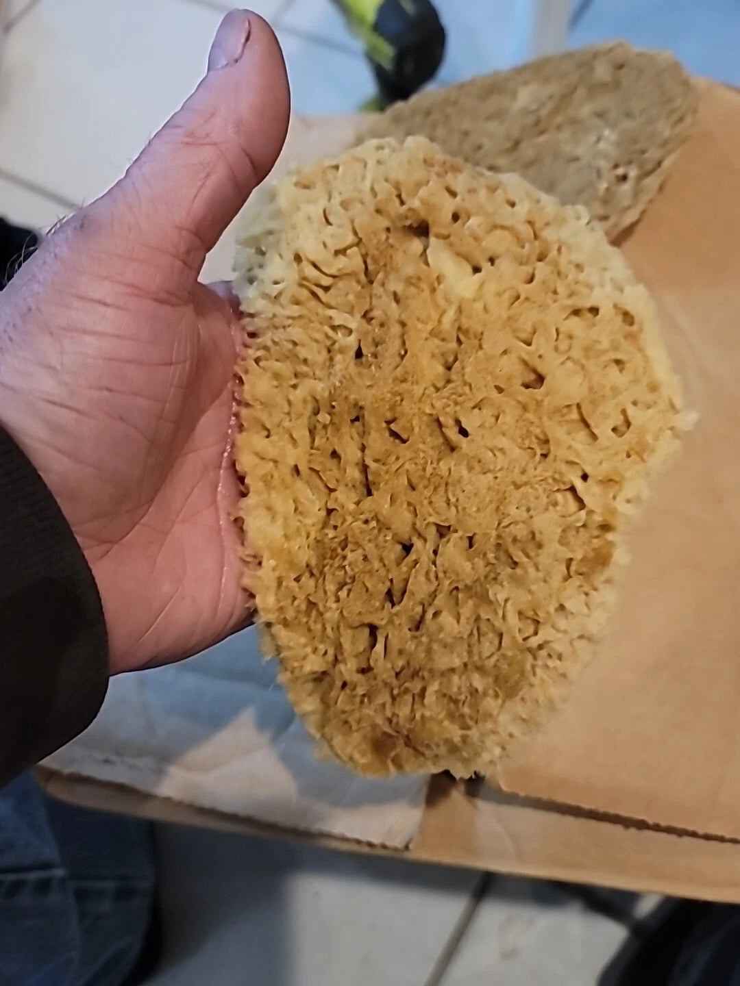 Natural  Sea Sponges These Are  These Really Thing Med.these Came From.the Ocean