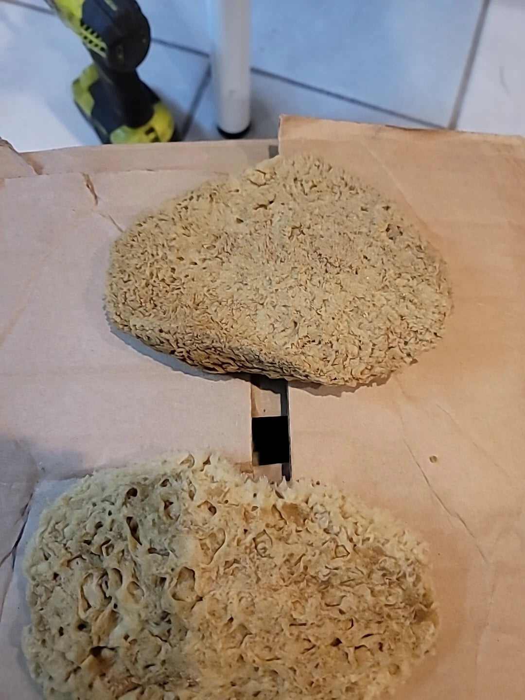 Natural  Sea Sponges These Are  These Really Thing Med.these Came From.the Ocean