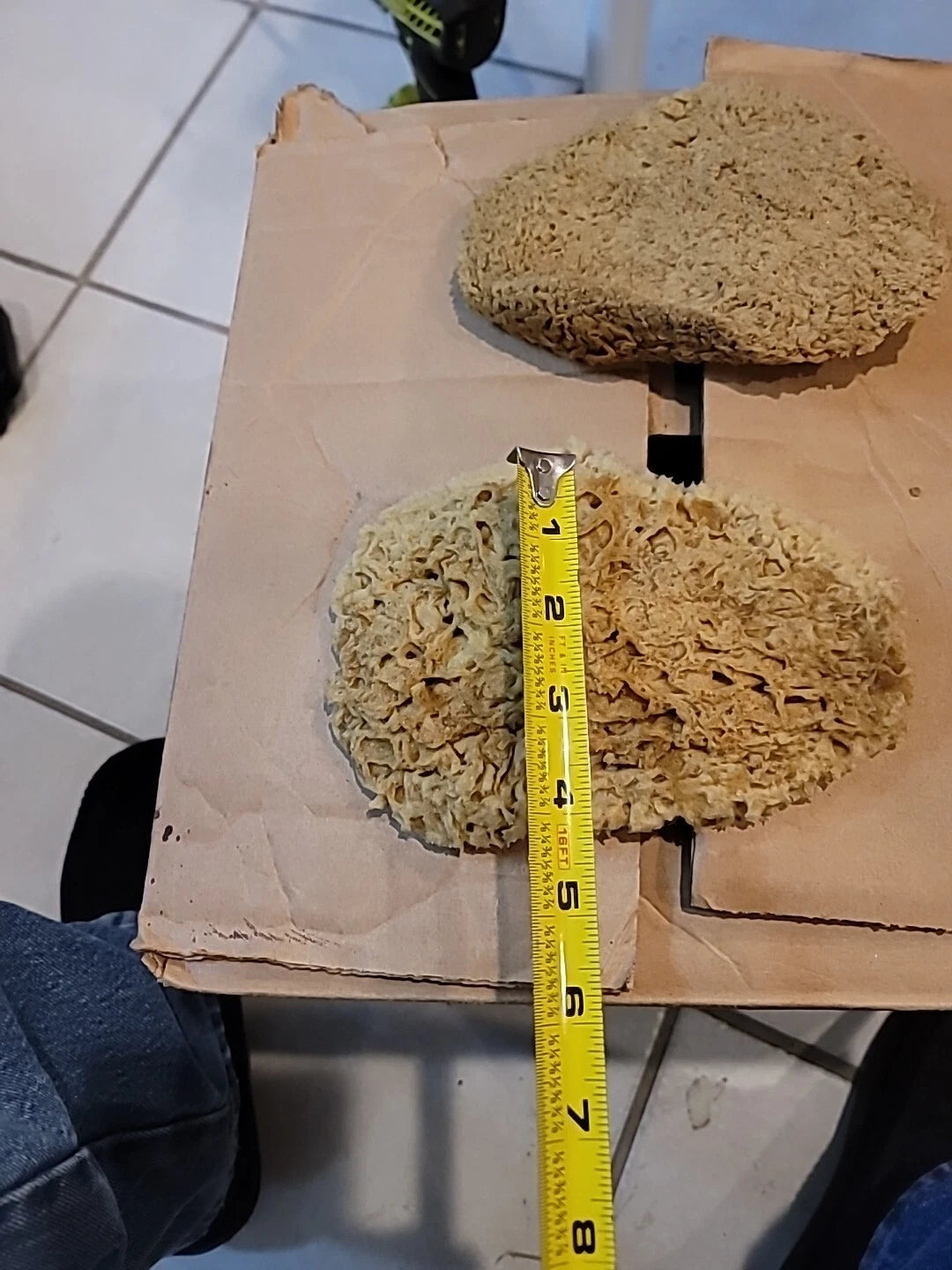 Natural  Sea Sponges These Are  These Really Thing Med.these Came From.the Ocean