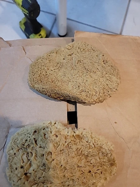 Natural  Sea Sponges These Are  These Really Thing Med.these Came From.the Ocean