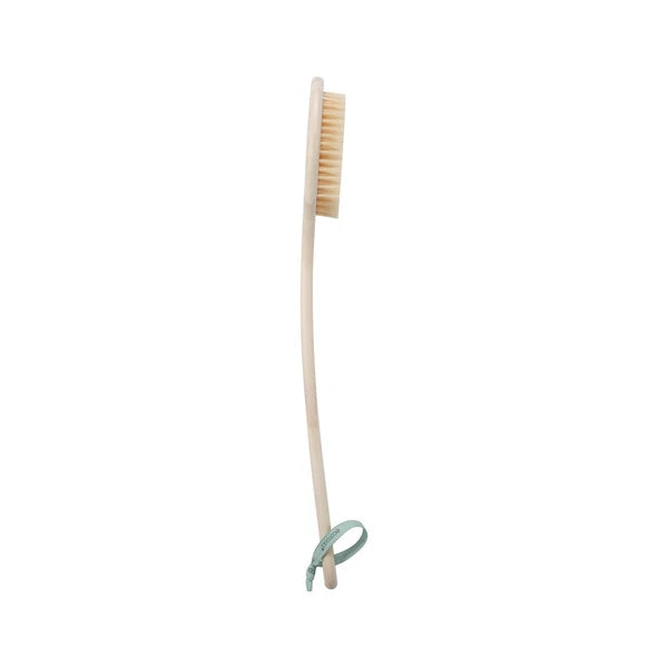 Bath Bristle Brush Bath Brush with Long Handle Cleanse Back Hard-to-Reach Areas