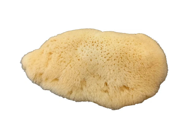 Antimension Sponge Natural Greek Orthodox Chalice Prosphora Crumbs Cleaning