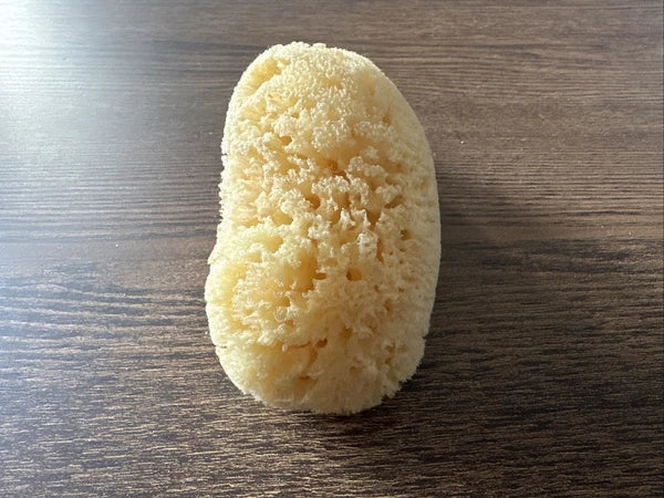 Natural Sea Sponge