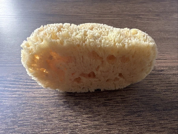 Natural Sea Sponge
